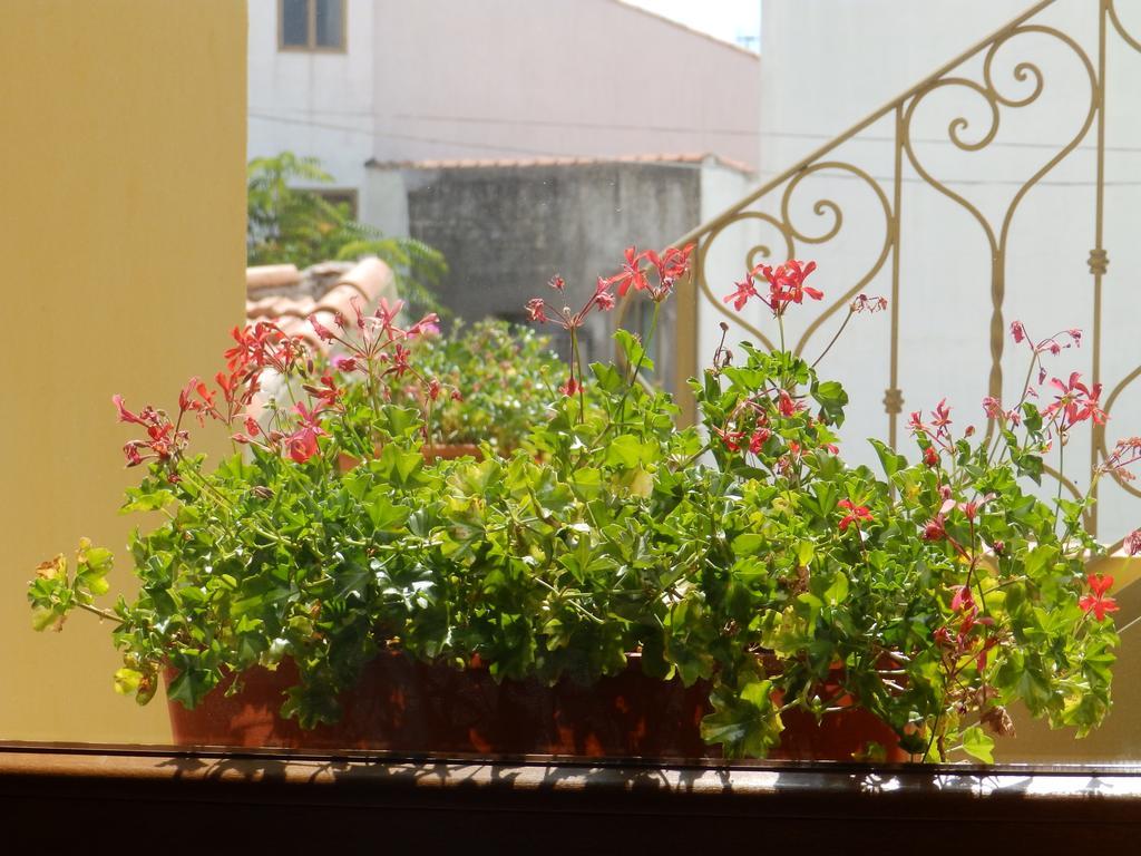 Sa Chessa B&B Ploaghe Dış mekan fotoğraf