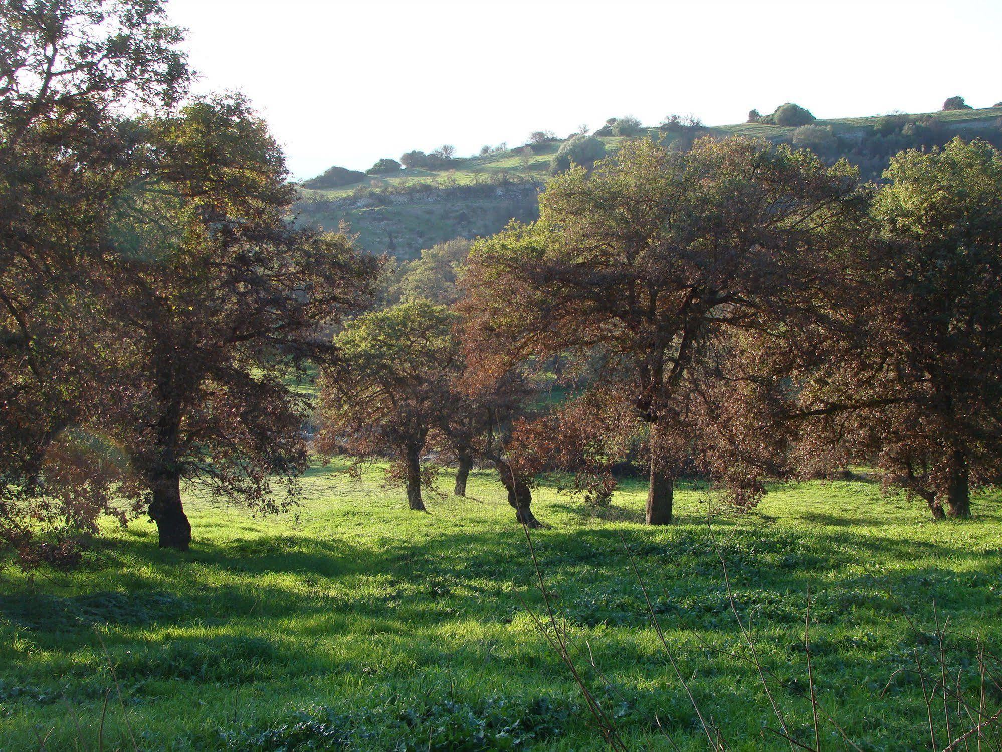 Sa Chessa B&B Ploaghe Dış mekan fotoğraf